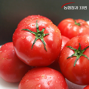 [농협청과33번] 토마토 5kg 5번 (쥬스용)